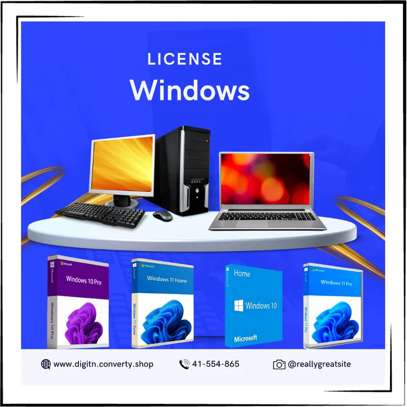 License windows 10,10 pro,11,11pro