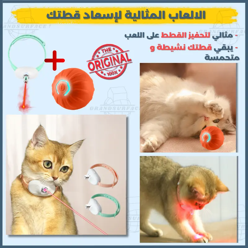 jeux pour le chat