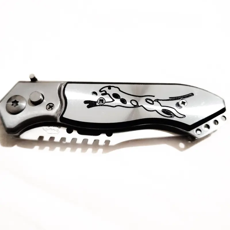 Jaguar gris