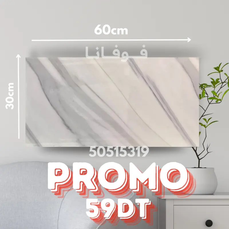 𝓕𝓛𝓐𝓢𝓗 𝓟𝓡𝓞𝓜𝓞 x10Pièces Panneaux 60x30cm -Ref: M19 | Livraison gratuite