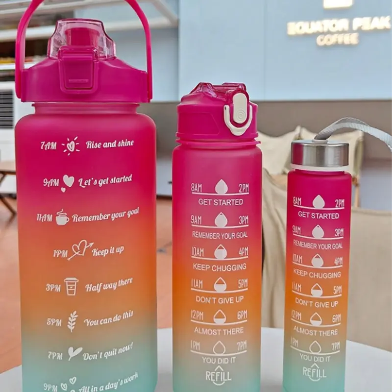 Lot de 3 bouteilles d'eau de sport