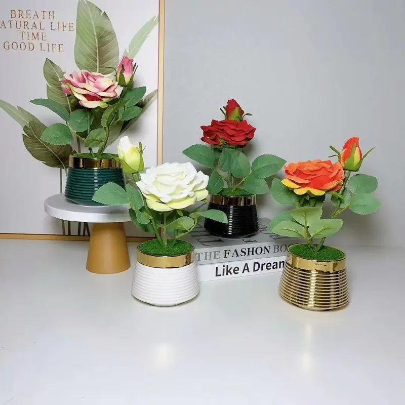 Mini Plantes Artificielles avec Pot Élégant