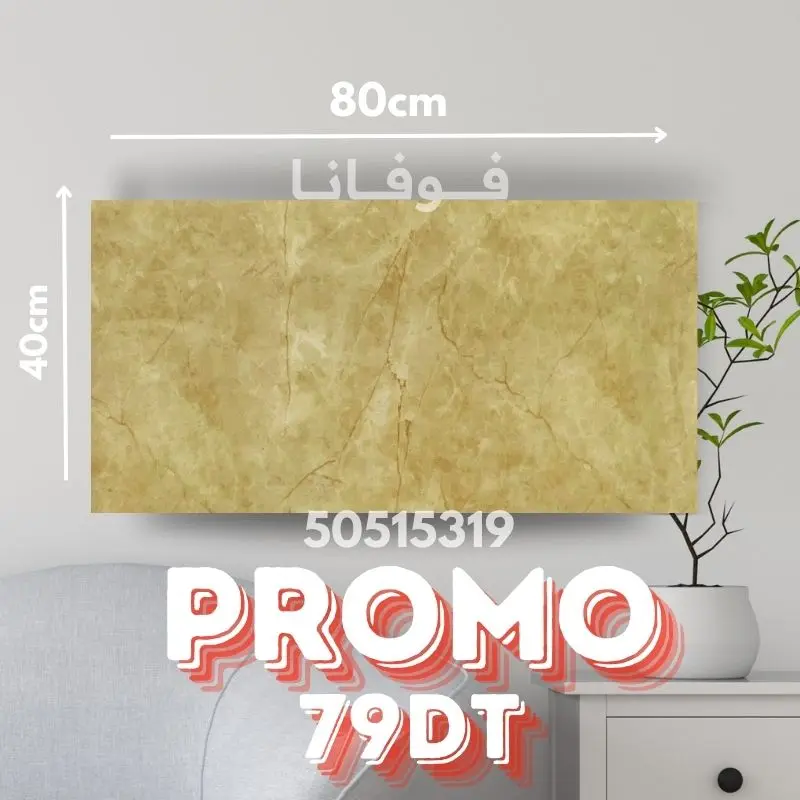 𝓕𝓛𝓐𝓢𝓗 𝓟𝓡𝓞𝓜𝓞 x10Pièces Panneaux 80x40cm -Ref: M21 | Livraison gratuite