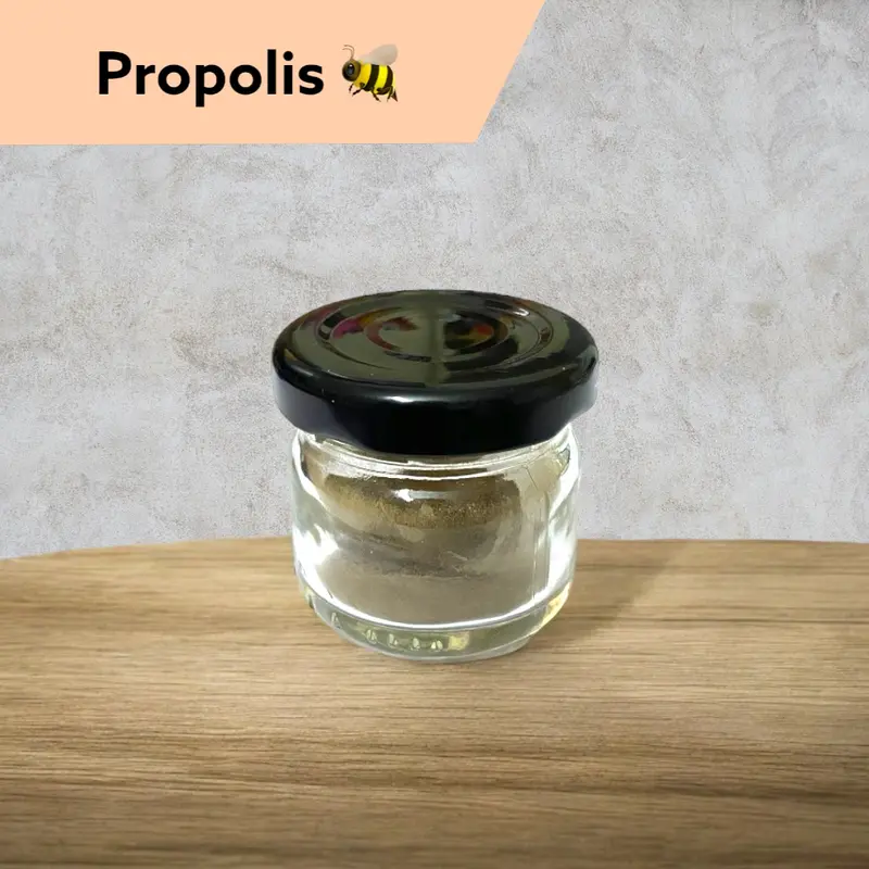 🐝 Propolis - عكبر 🐝