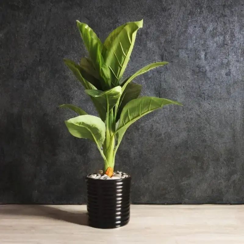 Grande Plante Décorative Verte