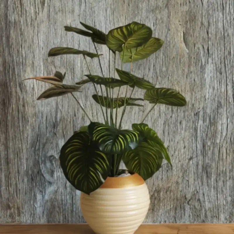 Plante Décorative Verte