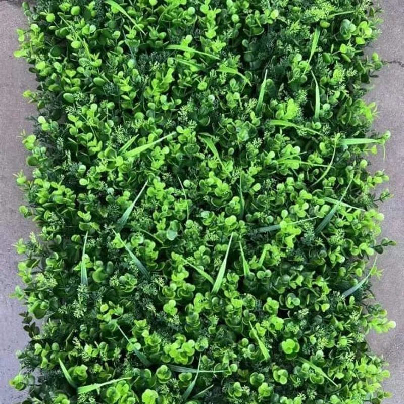 Pack mur vegetale modele 4