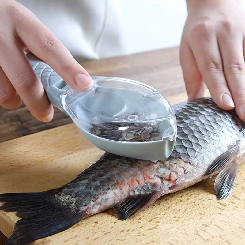 Grattoir à écailles de poisson
