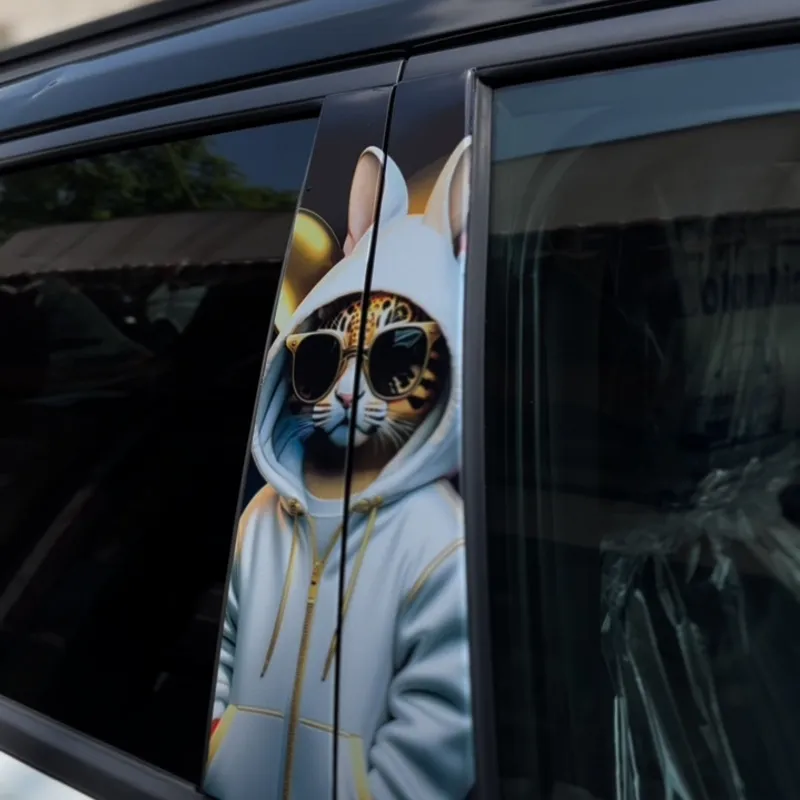 CAR DOOR PROTECTOR 🐈