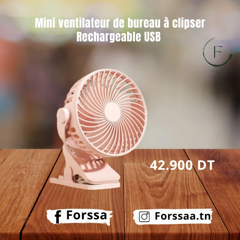 Ventilateur de bureau Rechargeable USB