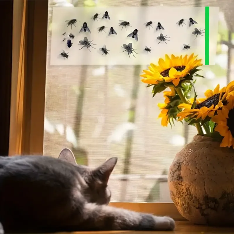 Piège Adhésif pour insectes au fenêtres (10pcs)