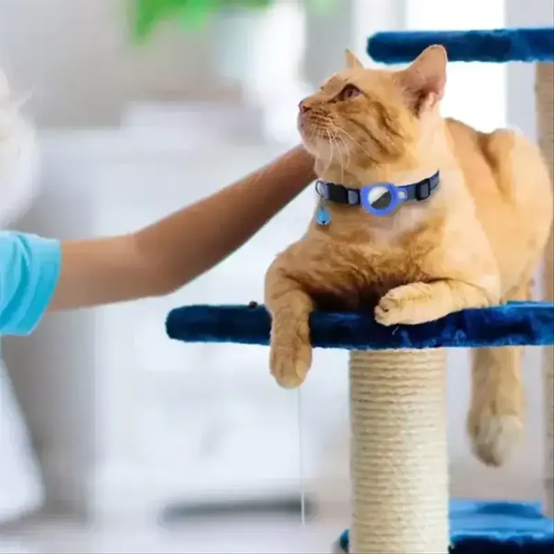 Collier anti-perte pour animaux de compagnie