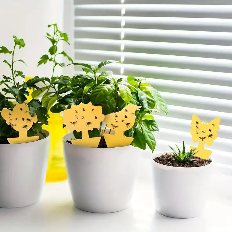 Plantes d'Intérieur – Pièges Englués Autocollants pour Élimination des Insectes