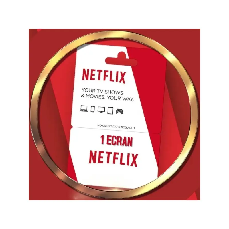 netflix (1 mois)