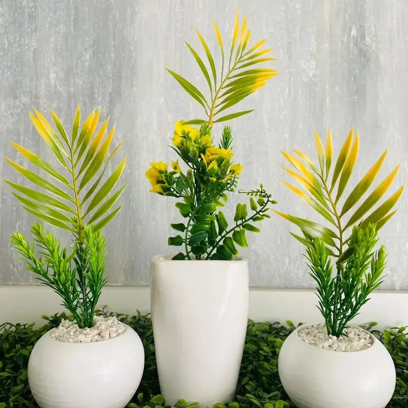 plantes vertes décoratives