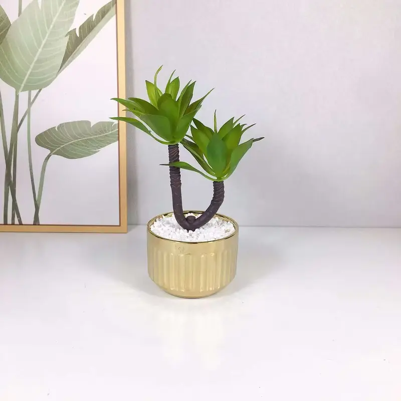 Plante Artificielle Succulente