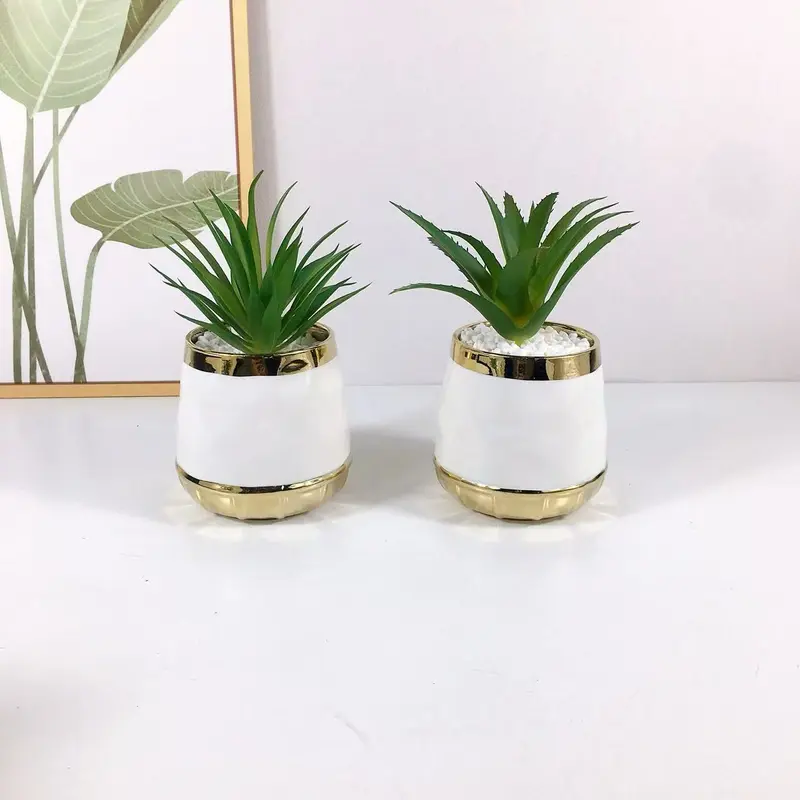 Lot de Mini Succulentes Artificielles en Pots Blancs et Dorés