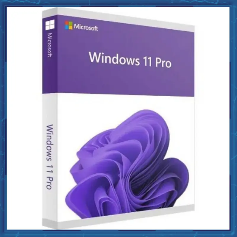 Windows 11 Professional