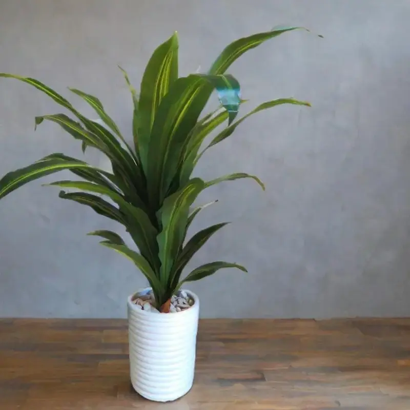 Plante Décorative Verte