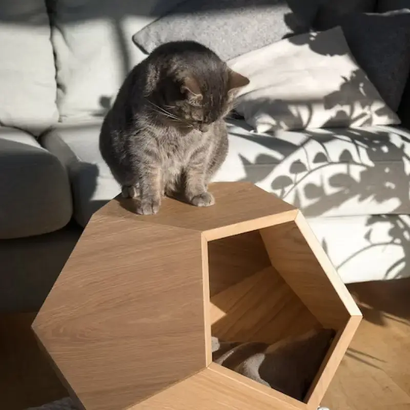 Niche pour chat ou chien