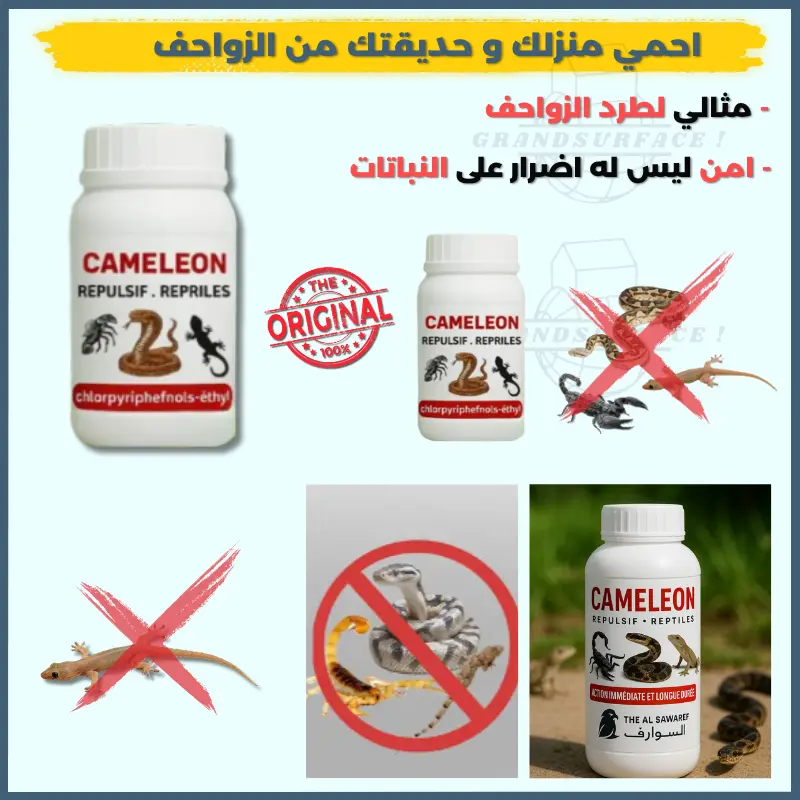 cameleon