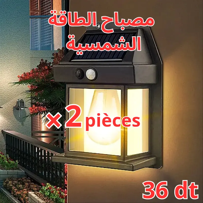 2 Applique Murale Solaire à Ampoule Tungstène
