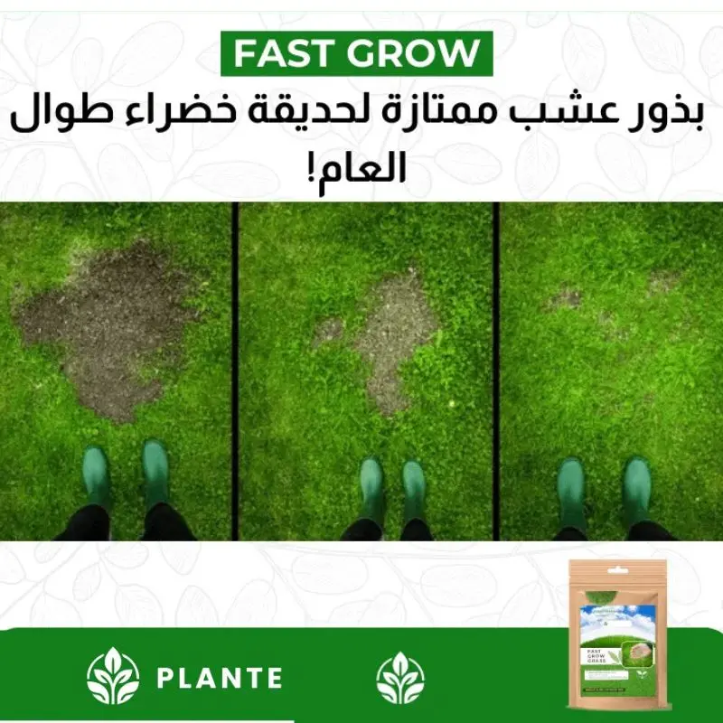 السر لعشب أخضر وصحي