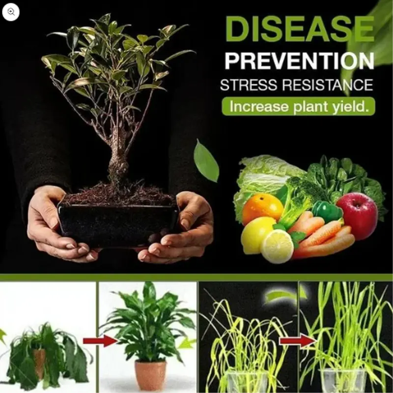 الحال الأمثل لنمو سريع وإنتاج وافير 🌿
