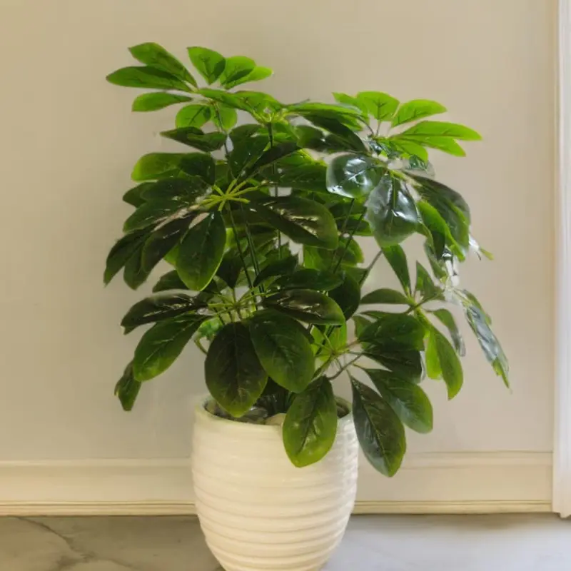 Plante Décorative Verte